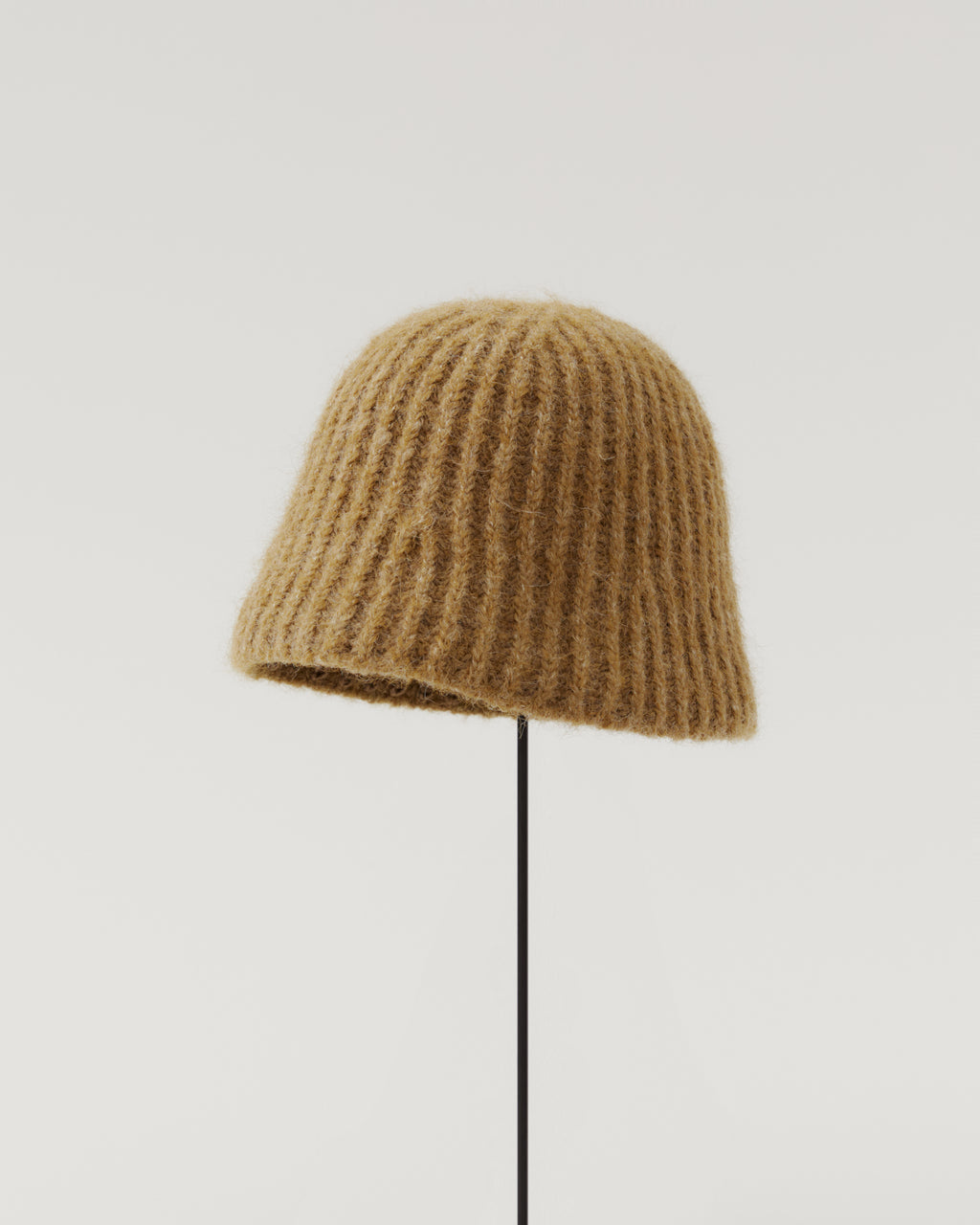 발렌티나 롱비니